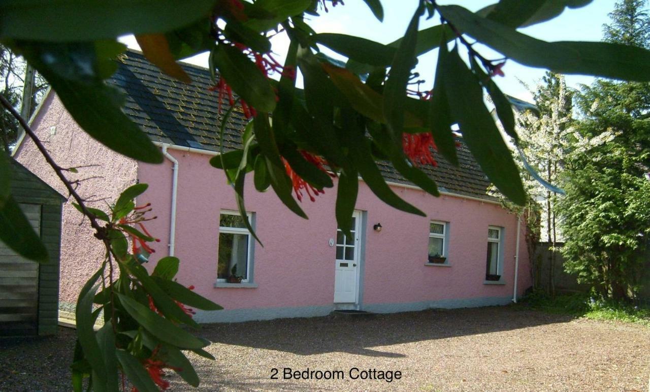 Hallmount - Holiday home Belfast